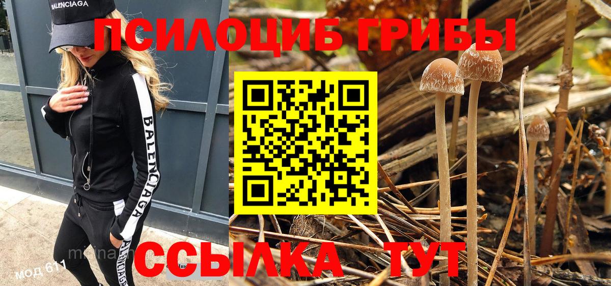 Галлюциногенные грибы мухоморы Майкоп
